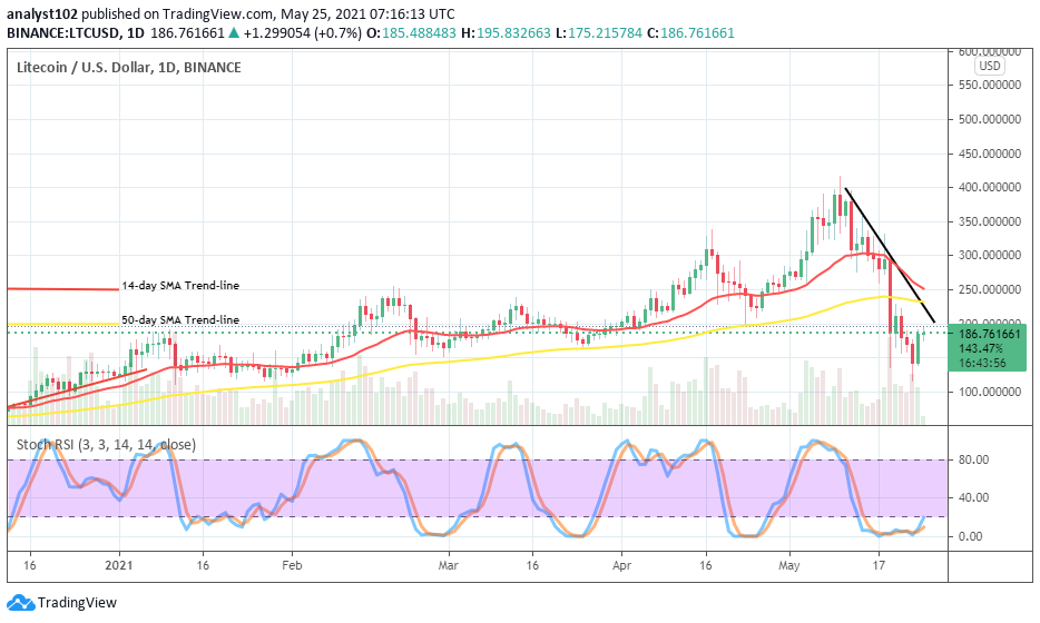 Litecoin (LTC/USD) Makes a Notable Rallying Motion