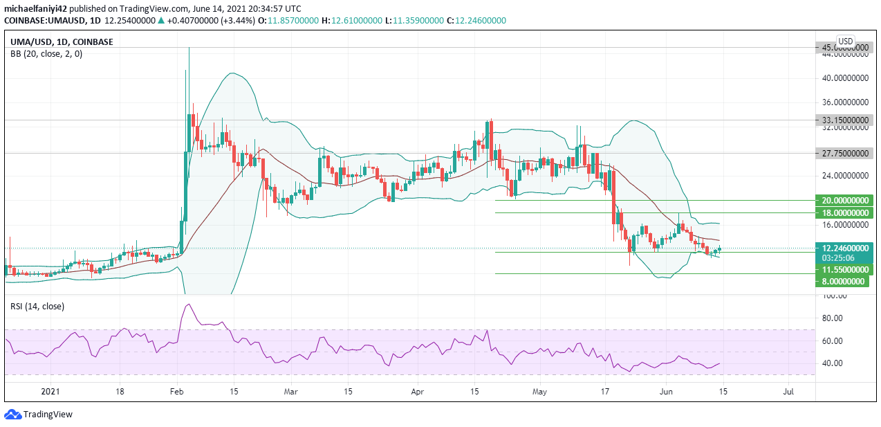 UMA (UMAUSD) Begins Another Consolidation Phase After Plunge in Price