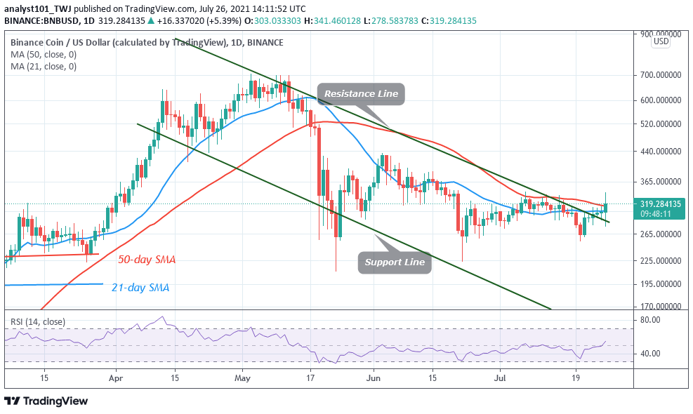 Binance Coin (BNB) Retraces but Consolidates above the $315 Support, Downtrend Likely