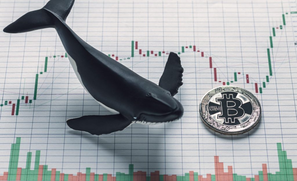 Bitcoin Holds $50K Amid Significant Exit of Whales