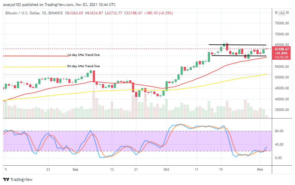Bitcoin (BTC/USD) Price Moves in $65,000 and $60,000 Range Lines