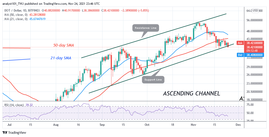 Polkadot (DOT) Holds Above $38.00 Support Amidst Bullish Expectation