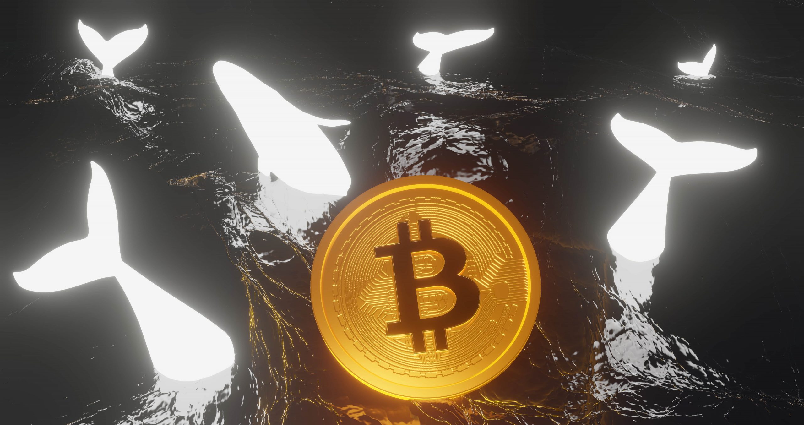 Bitcoin Steadies as Third-Largest Whale Acquires 6,665 BTC in Two Weeeks