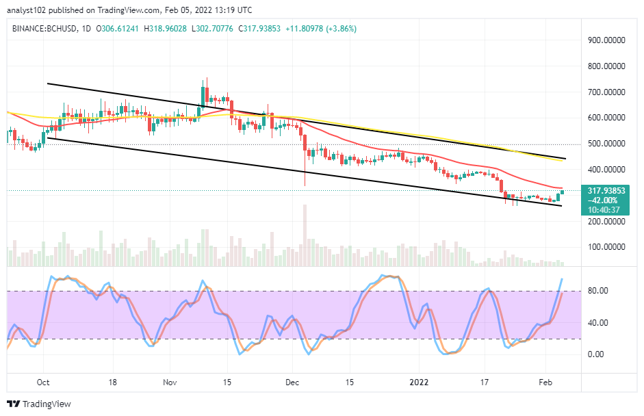 Bitcoin Cash (BCH/USD) Market Strives, Making a Recovery