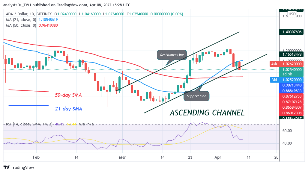 Cardano Hovers above $1.02 Support, Risks Further Decline to $0.77