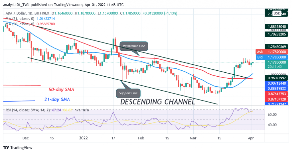 Cardano Reaches Overbought Region at $1.24, May Face Rejection