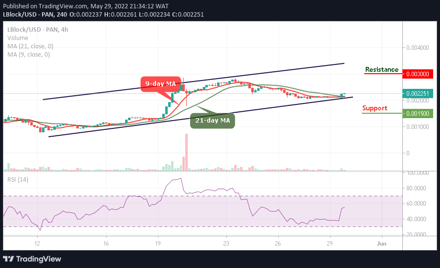 Lucky Block Price Prediction