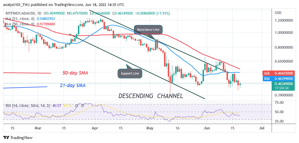 Cardano Holds above $0.44 as Bulls Provide Stiff Resistance