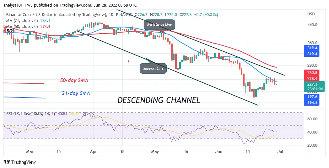 Binance Coin Holds Above $228 Support as It Targets the $267 High