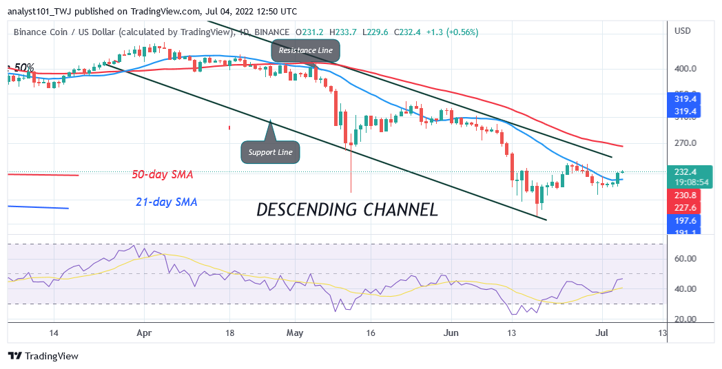 Binance Coin Is In an Overbought Region and May Face Rejection at $236.76