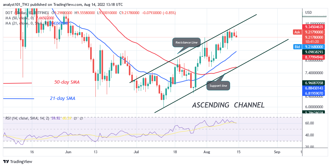 Polkadot Returns From the Recent High as It Risks Decline to $7.62