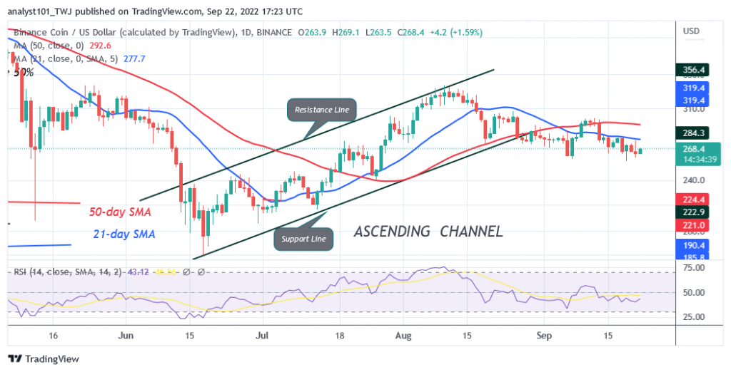 Binance Coin Turns Down from the $300 High as It Targets $245.18 LOW