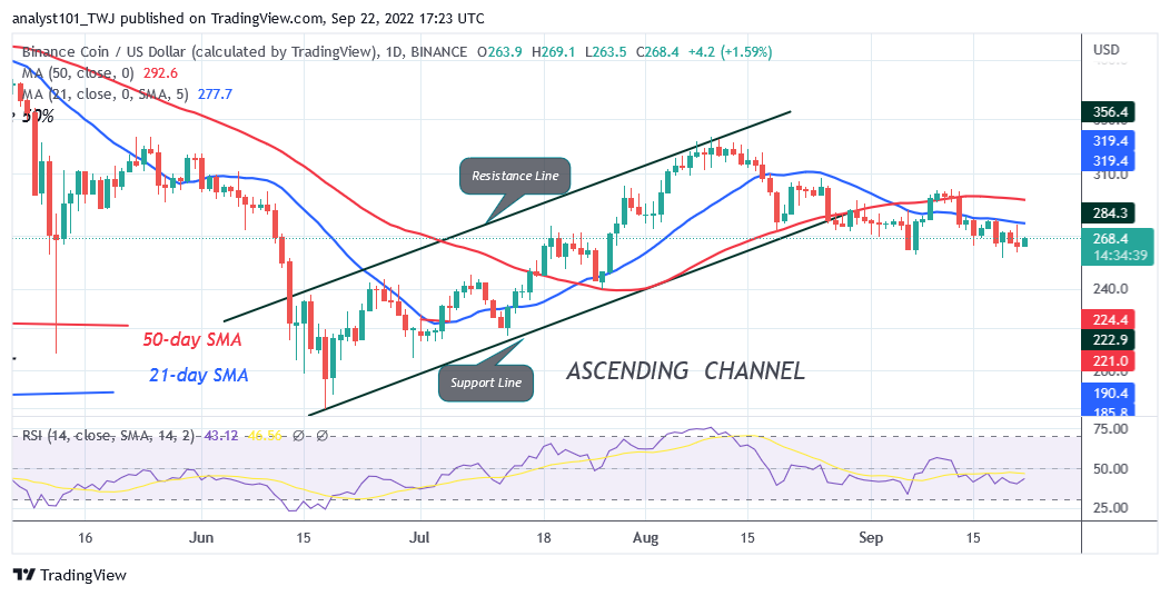 Binance Coin Turns Down from the $300 High as It Targets $245.18 LOW