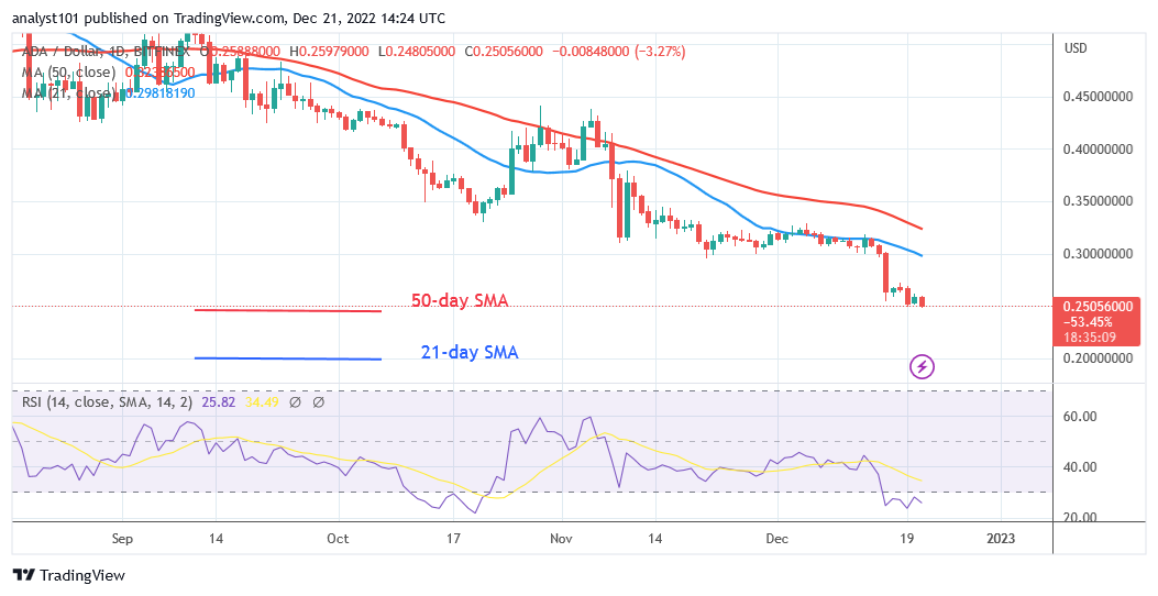 Cardano Loses Its $0.31 Support as Sellers Target the $0.23 Low