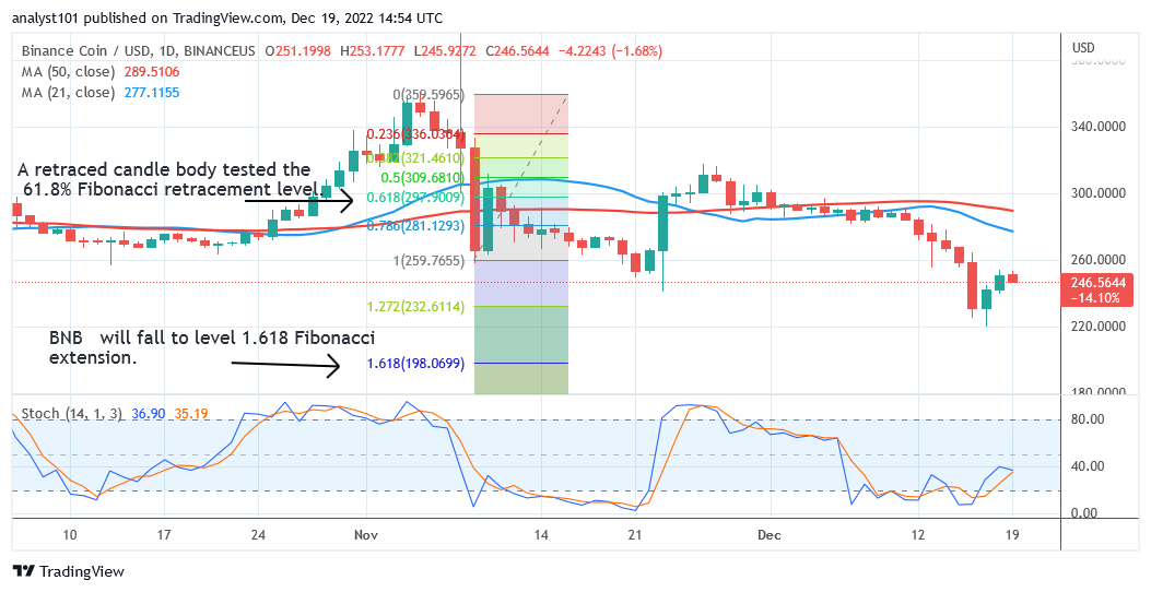 Binance Coin Hovers above $220 Support as BNB Risks Further Decline