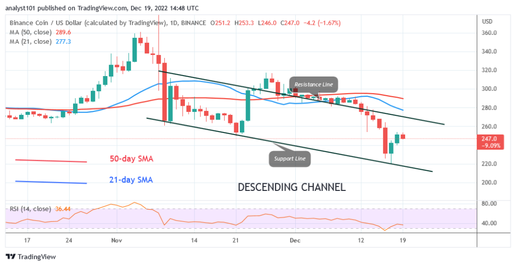Binance Coin Hovers above $220 Support as BNB Risks Further Decline