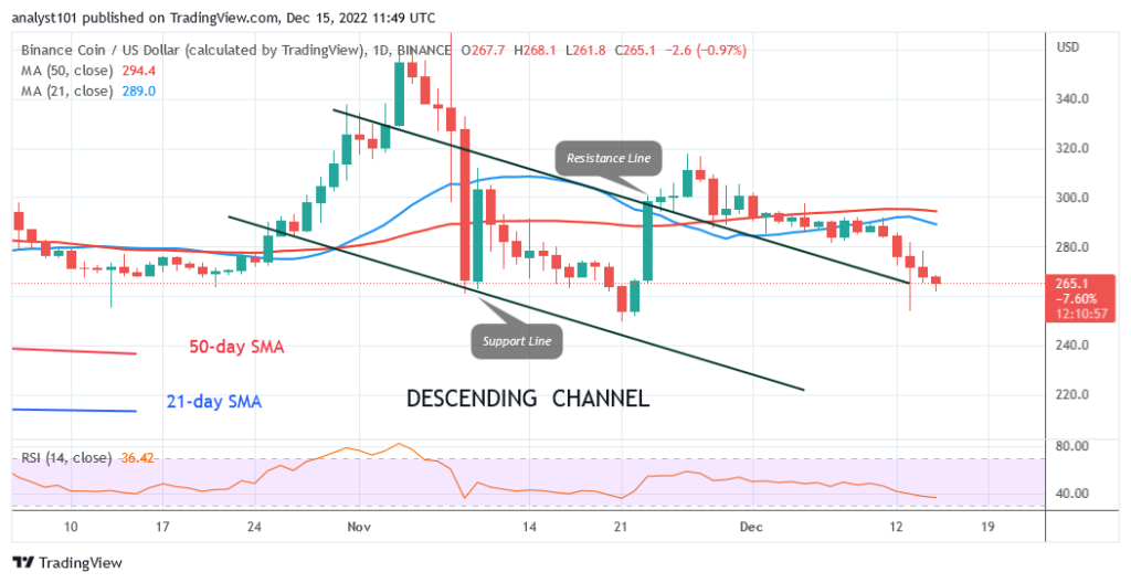 Binance Coin Declines as It Targets the Previous Low at $249