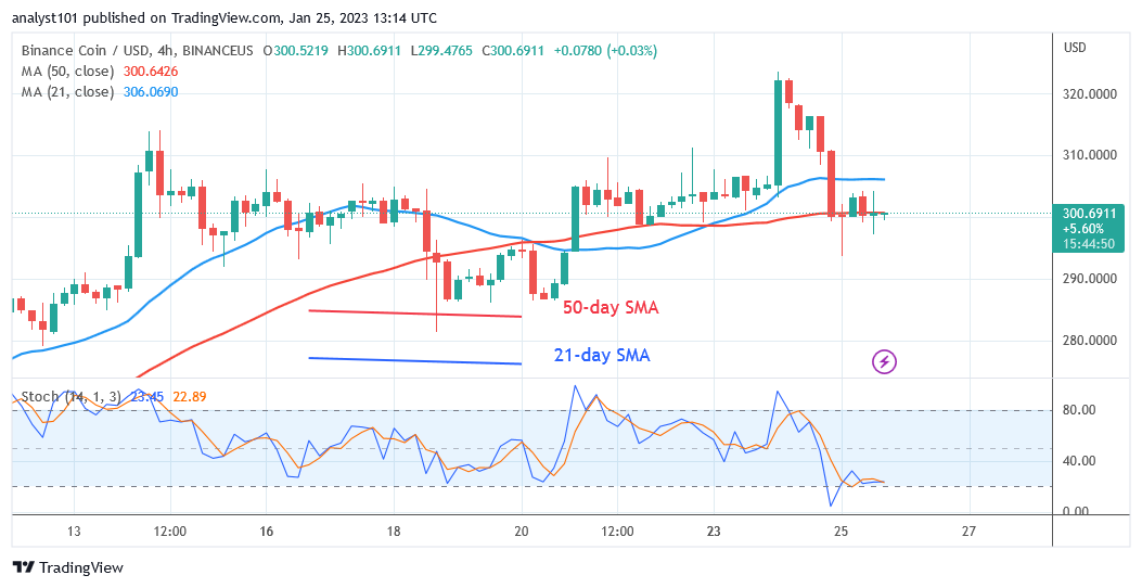 Binance Coin Stabilizes Above $300 Despite Continuing to Fall