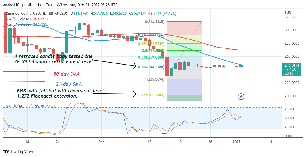 Binance Coin Hovers as Buyers Attempt to Overcome the $250 High