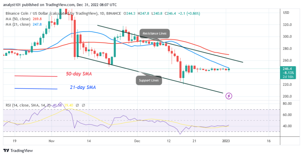Binance Coin Hovers as Buyers Attempt to Overcome the $250 High