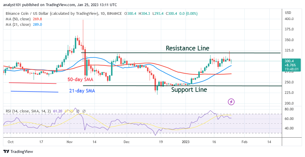 Binance Coin Stabilizes Above $300 Despite Continuing to Fall
