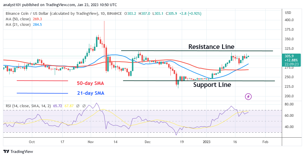 Binance Coin Price Stalls at $314 as It Remains Overbought