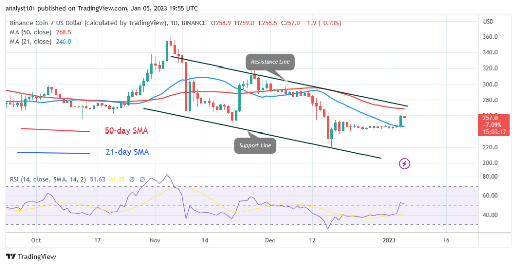 Binance Coin Fluctuates as It Challenges the Resistance at $260