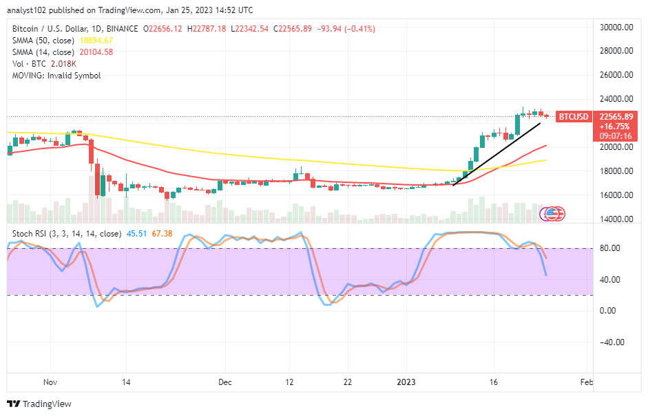 Bitcoin (BTC/USD) Price Hovers Between $22,000 and $23,000