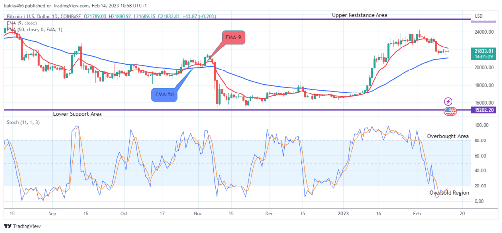 Bitcoin (BTCUSD) Price Recovery is set to Target the $25000.00 High Mark
