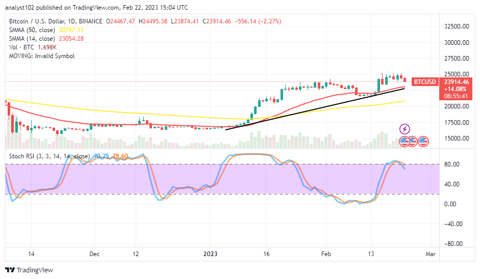 Bitcoin (BTC/USD) Price Retraces After Reaching $25,000