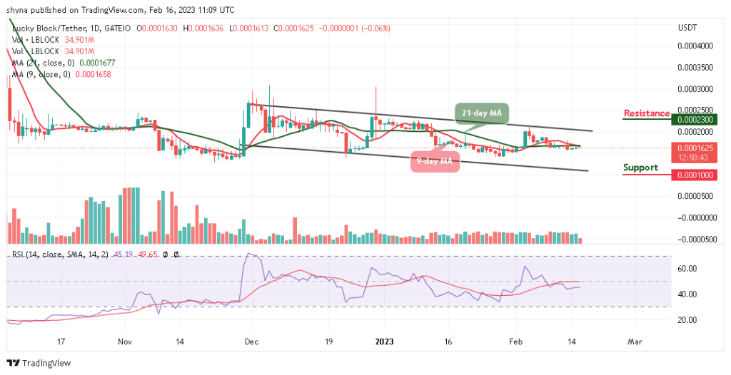 Lucky Block Price Prediction: LBLOCK/USD Looks for a Higher Support; Price Will Trend Upwards