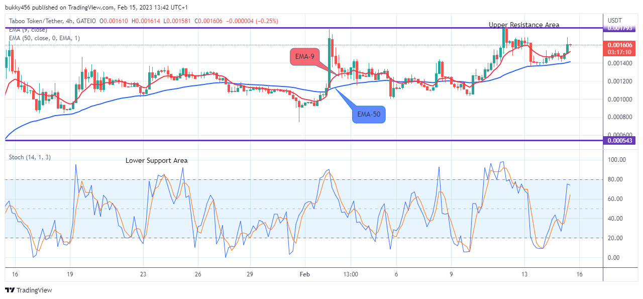 TABOO TOKEN (TABOOUSD) Potential for a Bullish Continuation