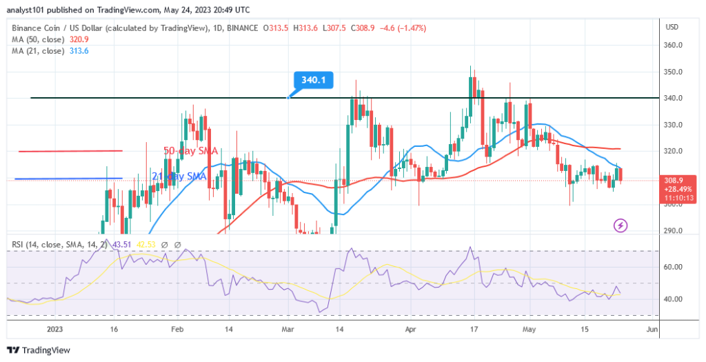 Binance Coin Is Hovering over $300, Indicating a Possible Rebound