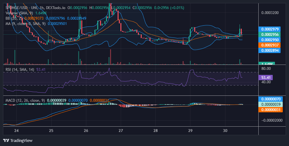Sponge (SPONGE/USD): Tension Is Building Around the $0.0002956