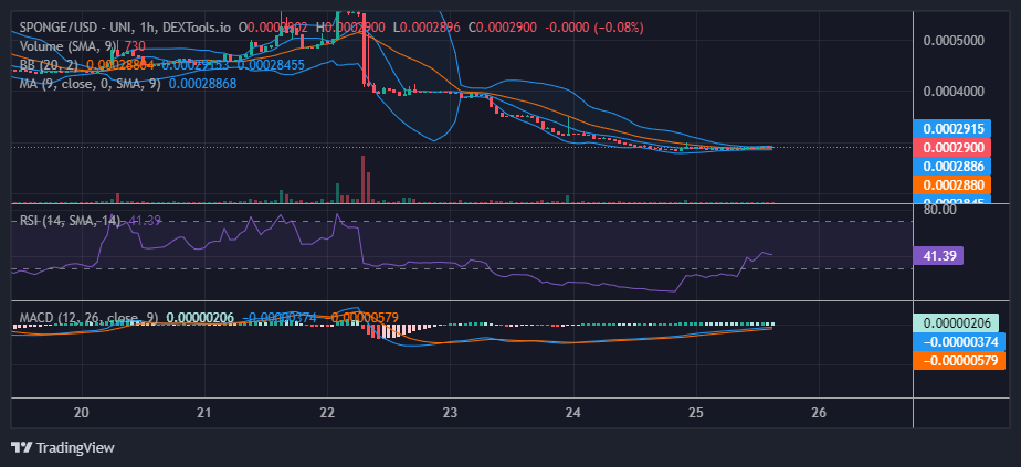 SpongeBob (SPONGE/USD) Prepares to Skyrocket