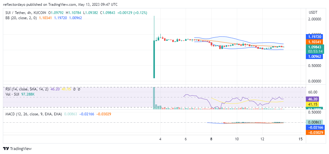 Top Trending Coins for Today, May 13: PEPE, LADY, SUI, CAPO, and ORDI