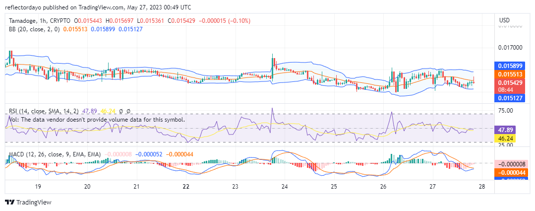 Tamadoge (TAMAUSD) Liquidity Is Increasing