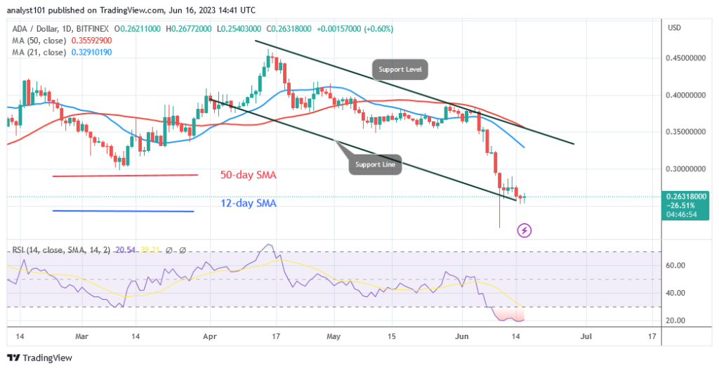 Cardano Declines Sharply as It Hovers above $0.24
