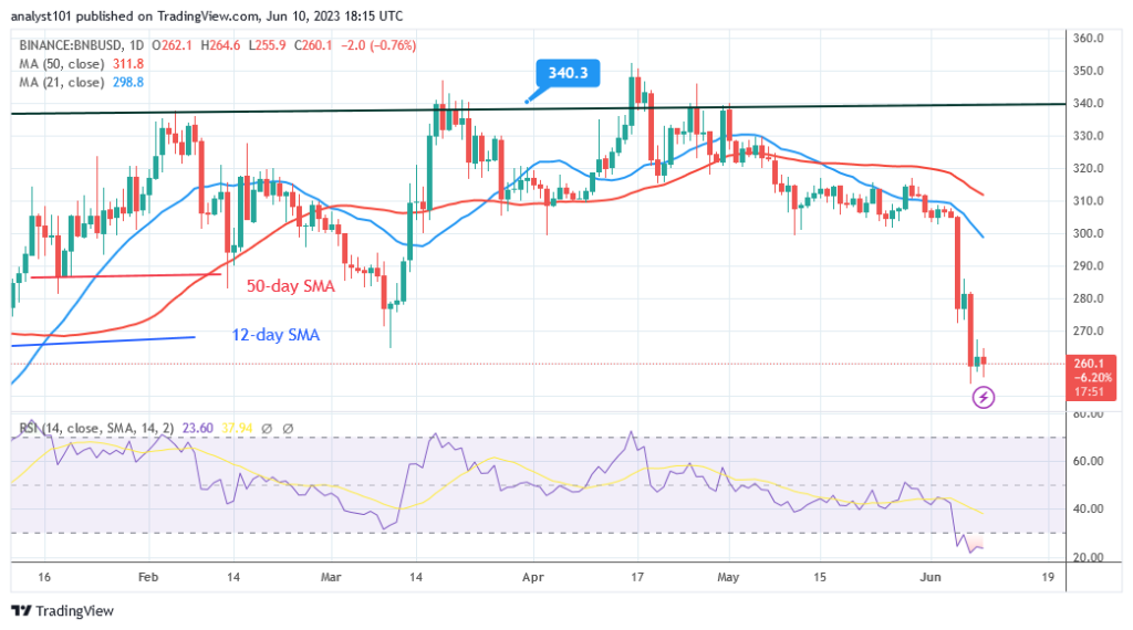 Binance Coin  Continues Its Decline as It Risks the $225 Low
