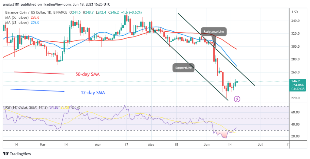 Binance Coin Reaches Bearish Exhaustion above The $220 Low