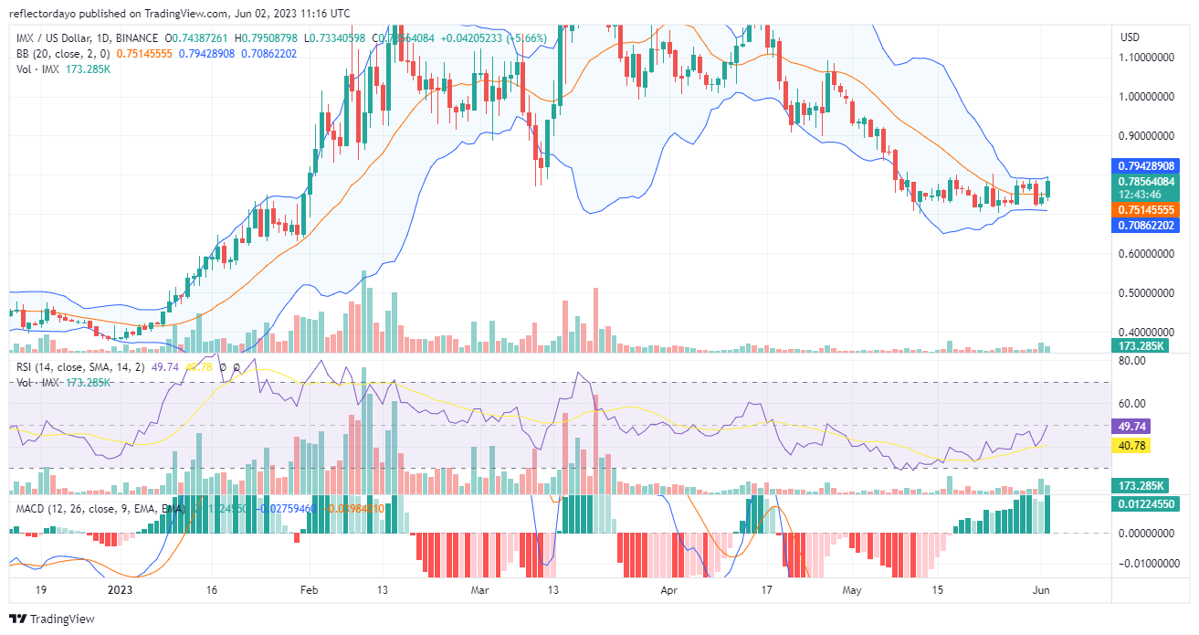 Immutable X (IMX/USD) Bulls Are Becoming Stronger