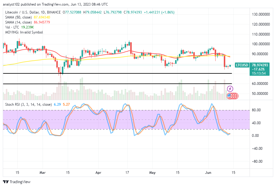 Litecoin (LTC/USD) Price Goes Under, Staging a Rally