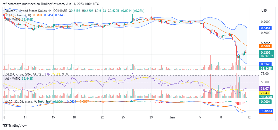 Polygon (MATIC/USD) Recovers From Below the Year’s Low Price Level