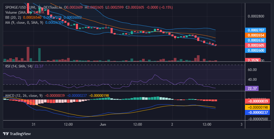Sponge (SPONGE/USD) May Rally From $0.0002619; Buy the Dip!
