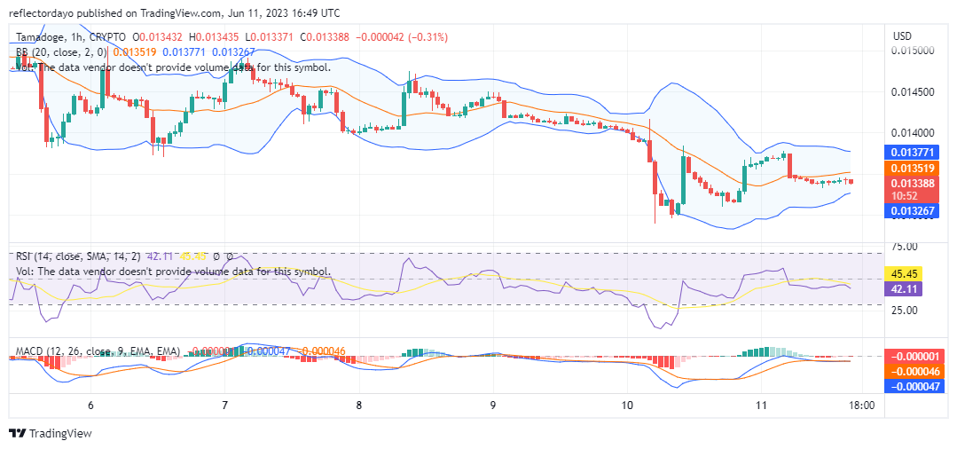 Tamadoge (TAMAUSD) to Bounce Back From the $0.013 Price Level