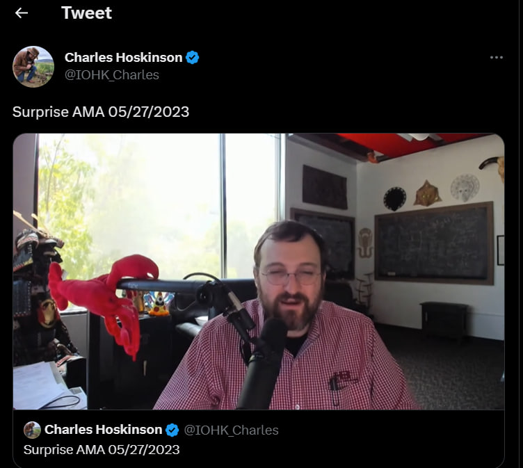 Screenshot from Hoskinson's Surprise AMA