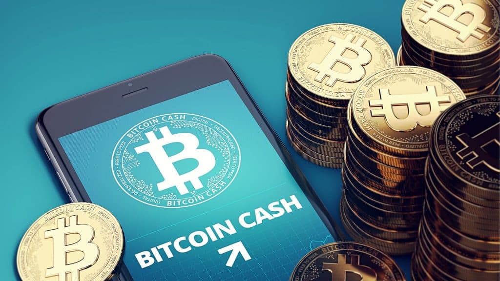 Bitcoin Cash Surges as Court Ruling Fuels Optimism for Crypto ETFs