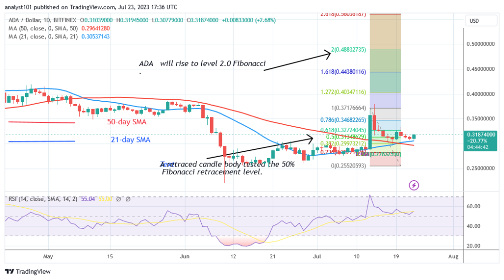 Cardano Recovers but Encounters Resistance at $0.32