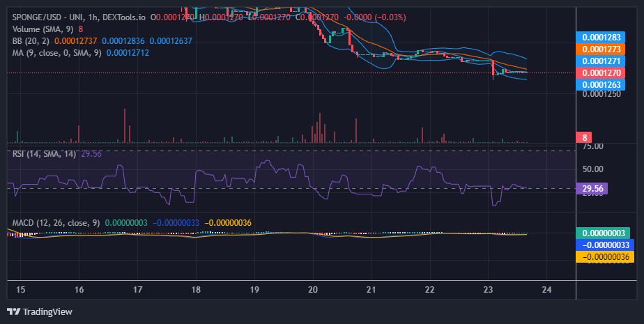 SPONGE/USD ($SPONGE): This Week Promises to Be Good for the Bulls