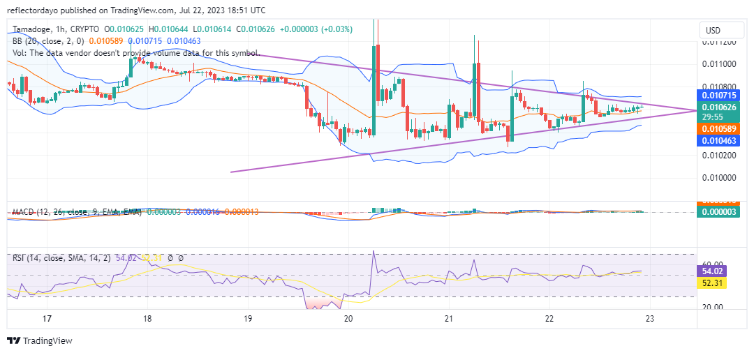 Tamadoge (TAMAUSD) Secures a Higher Support